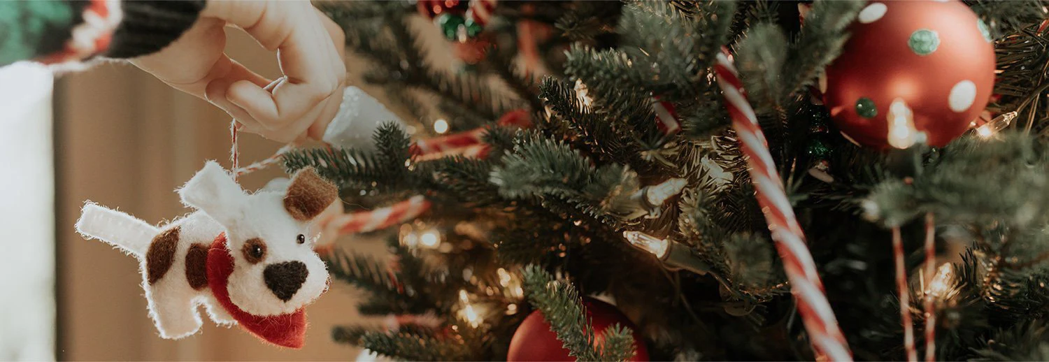 Beautiful Ornaments, Brighter Futures